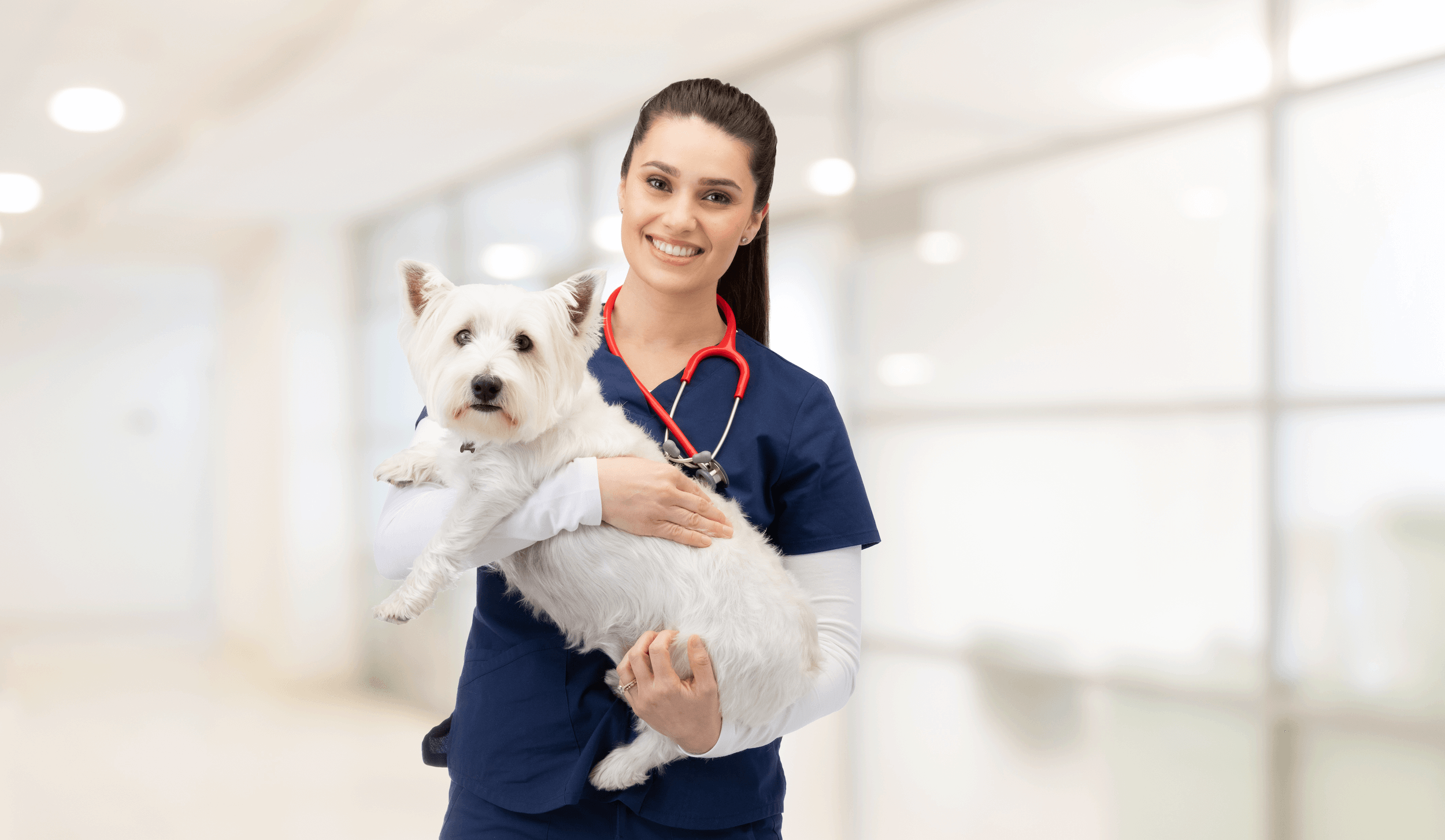 nutritional-management-of-pruritic-dogs